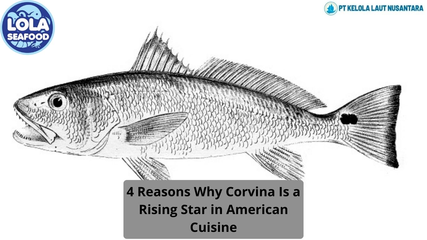 4 Reasons Why Corvina Is a Rising Star in American Cuisine